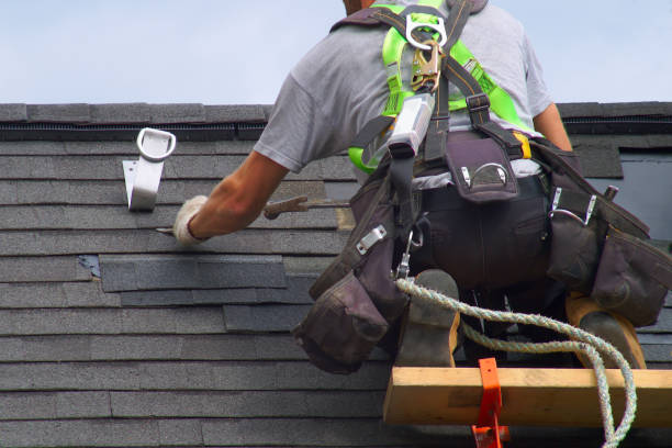 Best Metal Roofing Contractor  in Grizzly Flats, CA